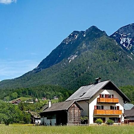 Haus Moni Apartment Bad Goisern Exterior photo