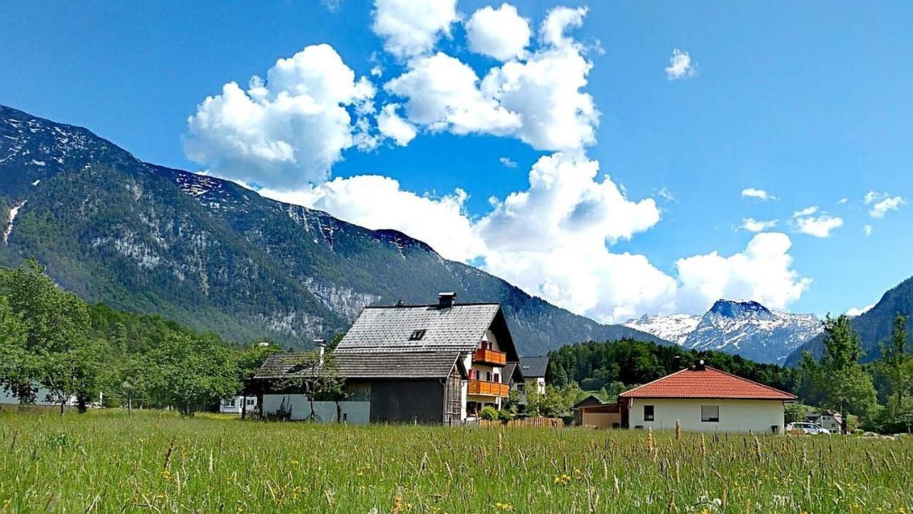 Haus Moni Apartment Bad Goisern Exterior photo