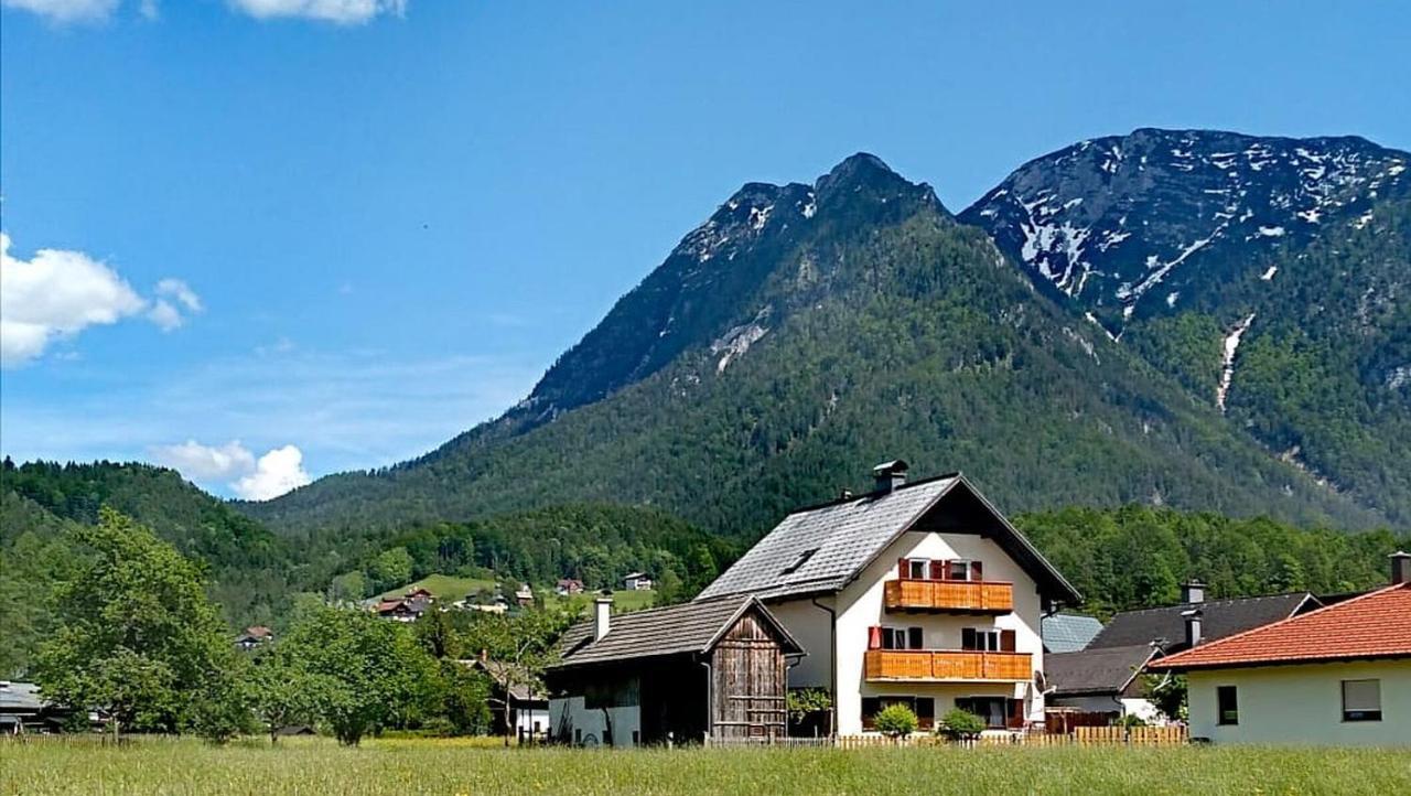 Haus Moni Apartment Bad Goisern Exterior photo